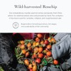 Wild Carrot Eye Balm by evanhealy