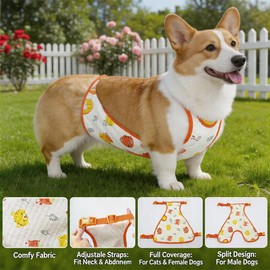 FORGEMATE Waterproof Dog Raincoat & Protective Vest | Corgi Dachshund Apron Belly Cover | All Weather Gear for Puppy Walking(Boy-M)