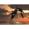 Lais Puzzle Orca 1000 Pieces