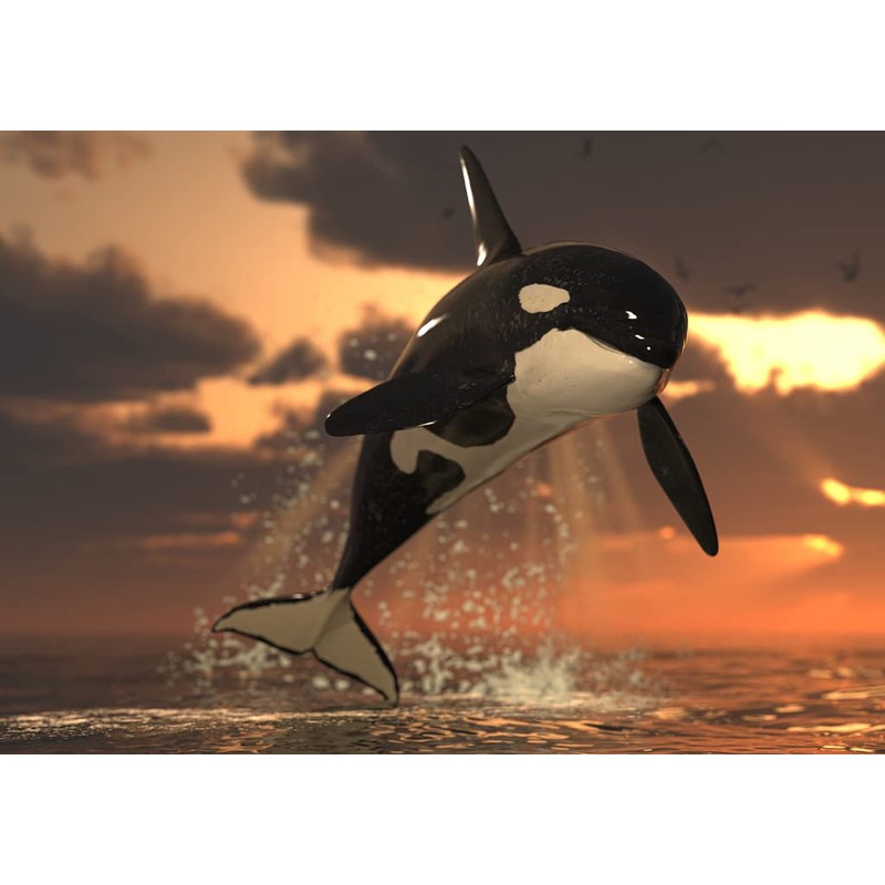 Lais Puzzle Orca 1000 Pieces