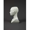 3dtotal Figure Collection Female Planar Bust: 6.4 Inch Tall Head