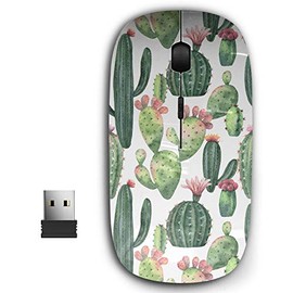 KAWAMOUSE 2.4G Ergonomic Portable USB Wireless Mouse for PC, Laptop, Computer, Notebook with Nano Receiver (Watercolor Cacti Succulent)