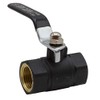 Riegolux 822847 Valvola Anti-Gelo Nylon 3/4 Leva