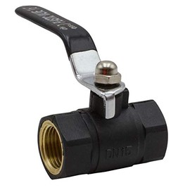 Riegolux 822847 Valvola Anti-Gelo Nylon 3/4 Leva