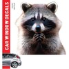 Animal Car Window Decals Funny 3D Weatherproof Decals (Raccoon)
