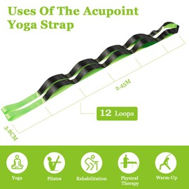 flintronic Yoga Stretching Strap, Stretching Band with 12 Loops, Yoga Stretch Strap, Fitness Stretch Band, Gymnastics Band for Pilates, Dance, Gymnastics, Effective Stretching, Green