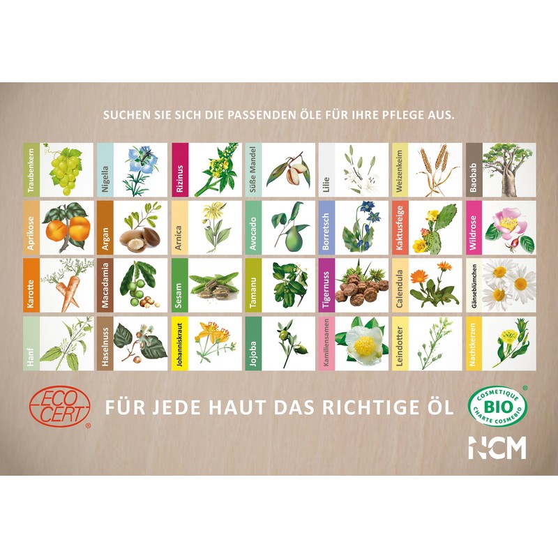 NCM pflanzliche Öle Aprikosenkern Öl, 1er Pack (1 x 50