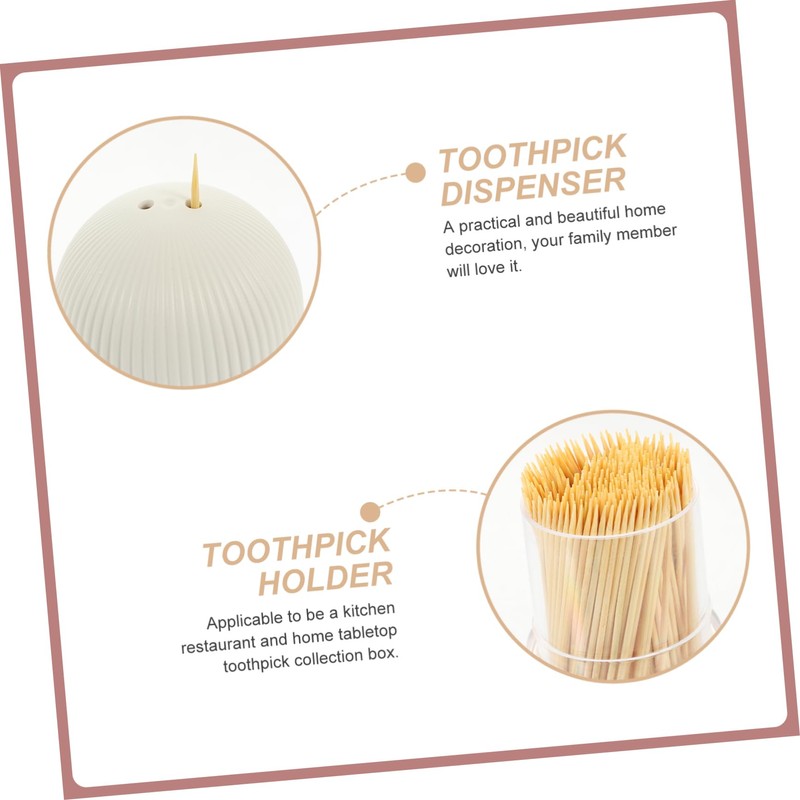 Baluue 1 Set Multi Function Wooden Toothpick with Storage Case