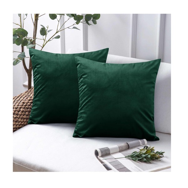 Opulent Dreams Velvet Cushion Covers (Pack of 2) - 45cm