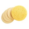 Prosana Round Compressed Sponge in Natural 24ct