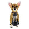 Ebros Picante Mexican Chihuahua Dog Decor Path Lighter Statue 12.5"Tall