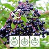 Organic Way Premium Dried Elderberry Whole (Sambucus nigra) - European