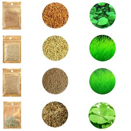 4 Pack Aquarium Plant S.e.e.d Set, not Artificial plasticl Plant. Real Grass Carpet for Fresh Water Fish Tank LZBS4