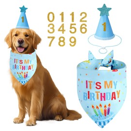 Agroon Dog Birthday Party Supplies with Hat Bandana Numbers, Light Blue Dog Birthday Set for Large Medium Pets Puppy Boy