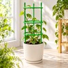 3-Tier Plant Support Rings for Potted Plants – 9-Piece Green