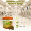 KISFLY Hip & Joint Chews for Senior Dogs – Advanced