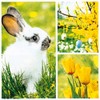 20 Small Cocktail Napkins Collage for Spring | Rabbit |