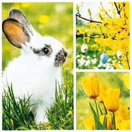 20 Small Cocktail Napkins Collage for Spring | Rabbit | Flowers | Table Decoration | Decoupage | Decoupage | Decoupage | Decoupage | 25 x 25 cm