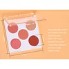 Mysense 5 Colors Face Blush Palette,Makeup Bright Shimmer Matte Powder