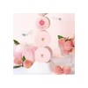Face Powder Skinfood Peach Cotton Multi Finish 15g