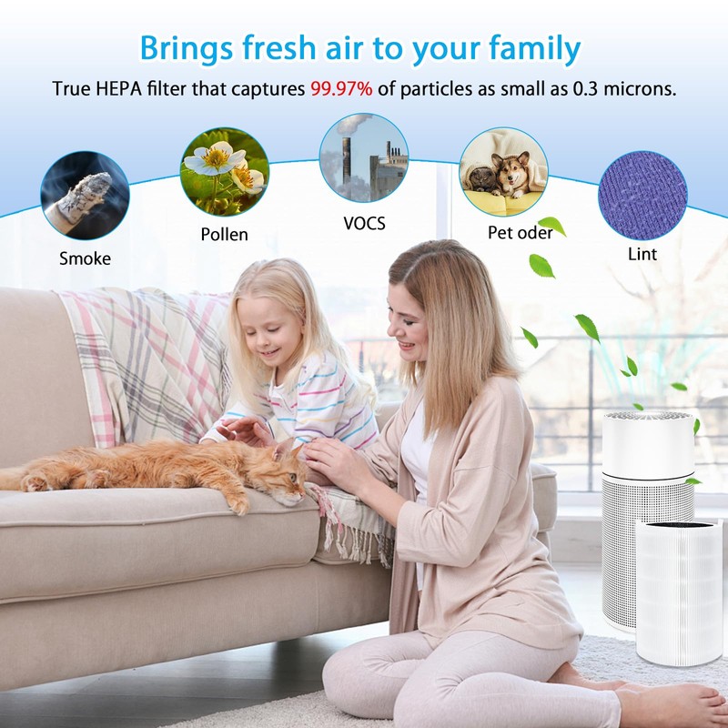 iAmoy 411 Replacement Filter for Blueair Blue Pure 411 /