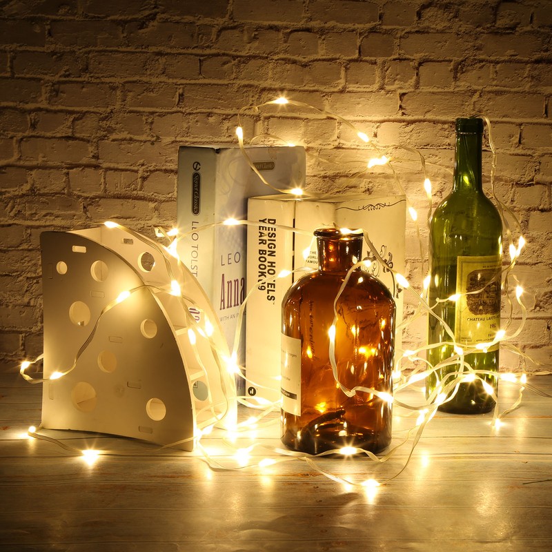 32.8ft 24V String Lights 100LED IP44 Warm Color for Garden