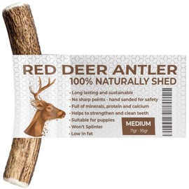 Antlers for Dogs MEDIUM, Sustainable, Naturally Shed, Deer Antlers for Dogs, Dog Toys, Dog Treats, Dog Antler, Reindeer Antlers for Dogs, Natural Dog Chews, Dog Chew Toys