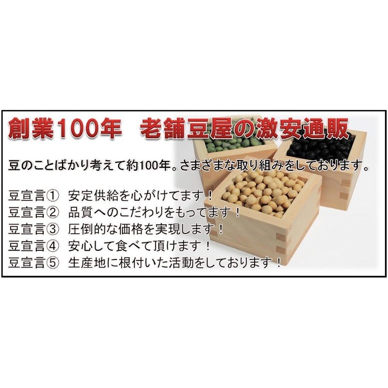 Bean Power Specialty Japanese Mochibi 17.6 oz (500 g)