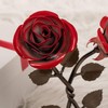 Hand-Forged Wrought Iron Double Red Metal Rose with Twist -