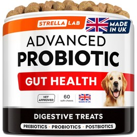 STRELLALAB Dog Probiotics for Gut Health & Digestive Enzymes Fiber Supplement - Anti Diarrhea, Constipation, Upset Stomach, Gas Relief - Digestion Treats Chews - 60 Count (Pack of 1) BBQ Beef