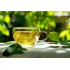80 Tea Bags Focus Tea with 100% Ginkgo Leaves, Ginkgo