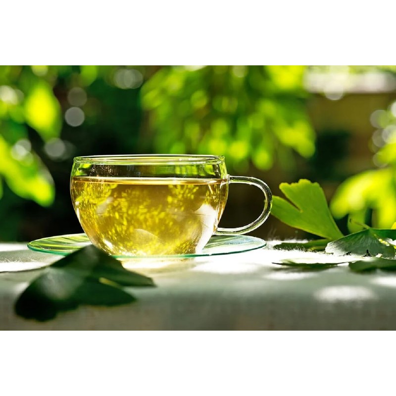 80 Tea Bags Focus Tea with 100% Ginkgo Leaves, Ginkgo