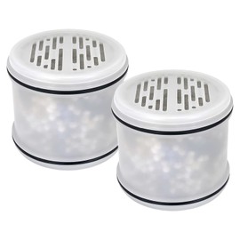 Can-Meageren Replacement Fixed Shower Filter Compatible with MakeFit Filtered Shower Head - H5H117, 2 Pcs