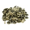 Springfield Leather Company Rivets, Antique Brass, Double Cap Rivets, Medium