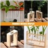 BESPORTBLE Clear Test Tubes for Plant Propagation Station, 4Pcs Glass