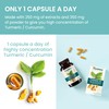 Himalaya Turmeric 95 Supplement with Curcumin/Curcuminoids,Supports Immune System, Resistance to