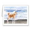 DJ Rogers Fine Art Akita at the Beach - Set