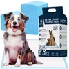 American Kennel Club Scented Puppy Training Pads with Ultra Absorbent
