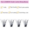 LAUBESS Cluster Lashes 240pcs 40D DIY Eyelash Extensions D Curl