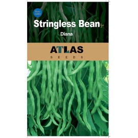 ATLAS Asparagus Bean -Atlas Long Slim