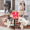 Cooute 2 Pack Pet Door Replacement Flap with Magnetic Closure,