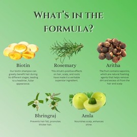 Champú De Biotina Y Romero – Hecho A Mano Con Amla, Bhringraj, Arroz Y Aritha – Limpiador Herbal Voluminizador Y Fortalecedor – Hidrata, Suaviza Y Rev