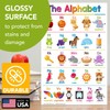 Educational Posters for Toddler and Kids – Bundle of 16