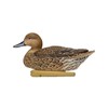 Avian-X Top Flight Pintail Decoys 6 Pack, One Size, (8082)