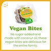 Alyssa’s Vegan Oatmeal Bites ⎸ Gluten Free Cookies, Healthy Snacks