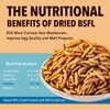 10lb Dried Black Soldier Fly Larvae Treat for Chickens More