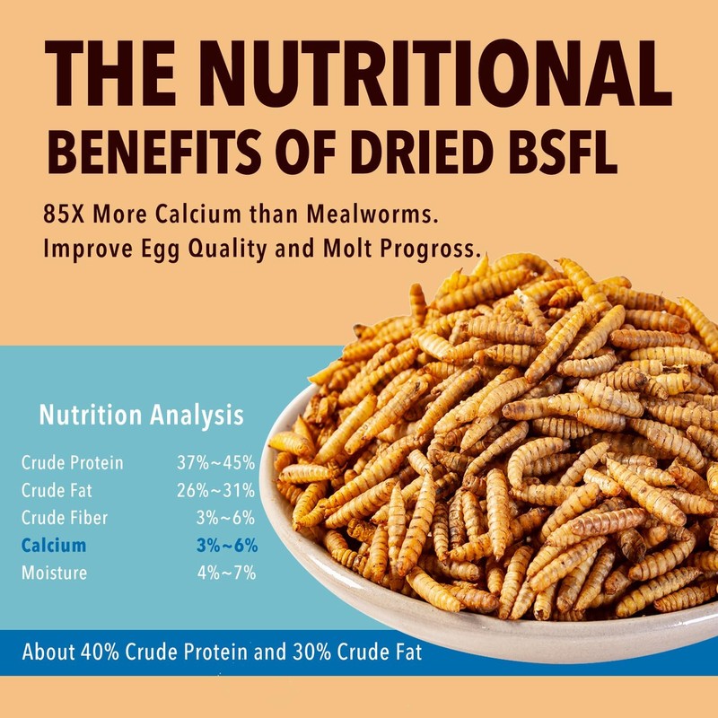 10lb Dried Black Soldier Fly Larvae Treat for Chickens More