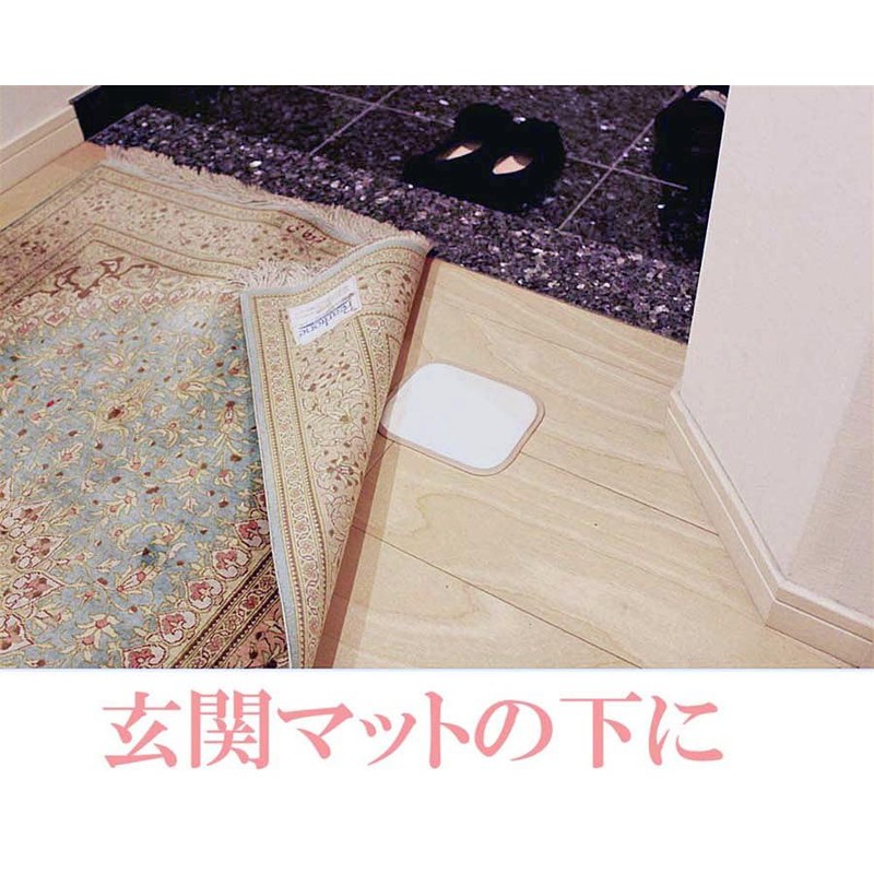 置くだけ！ ダニを集めてポイ！ ダニ粘着シート 「ダニホテル」ふとん用 2枚組