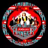 NIGHT RANGER FIVE PENDANTS ONE NECKLACE