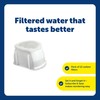 PetSafe Drinkwell Avalon & Pagoda Fountain Activated Carbon Filters -